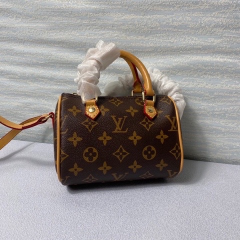 LV  Nano Speedy Monogram